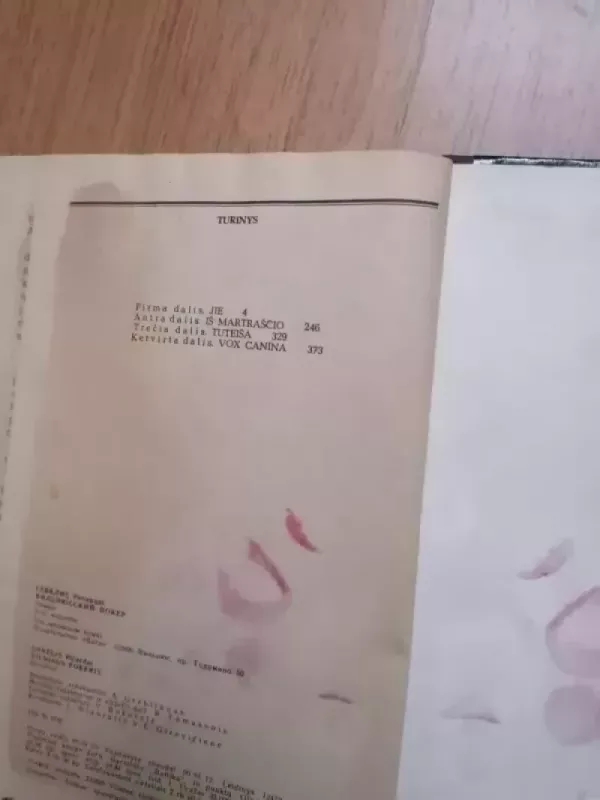 Vilniaus pokeris - Ričardas Gavelis, knyga 4