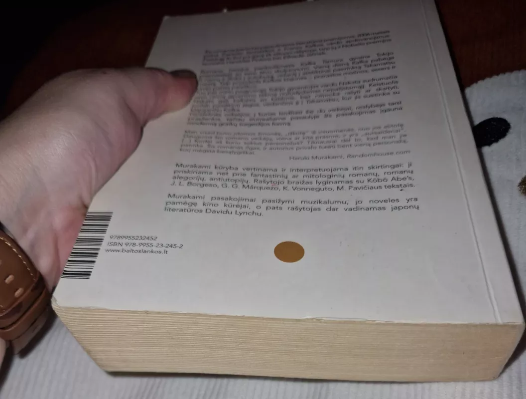 Kafka pakrantėje - Haruki Murakami, knyga 4