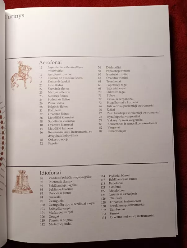 Pasaulio muzikos instrumentai - Ruth Midgley, knyga 3