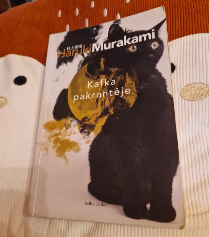 Kafka pakrantėje - Haruki Murakami, knyga 3