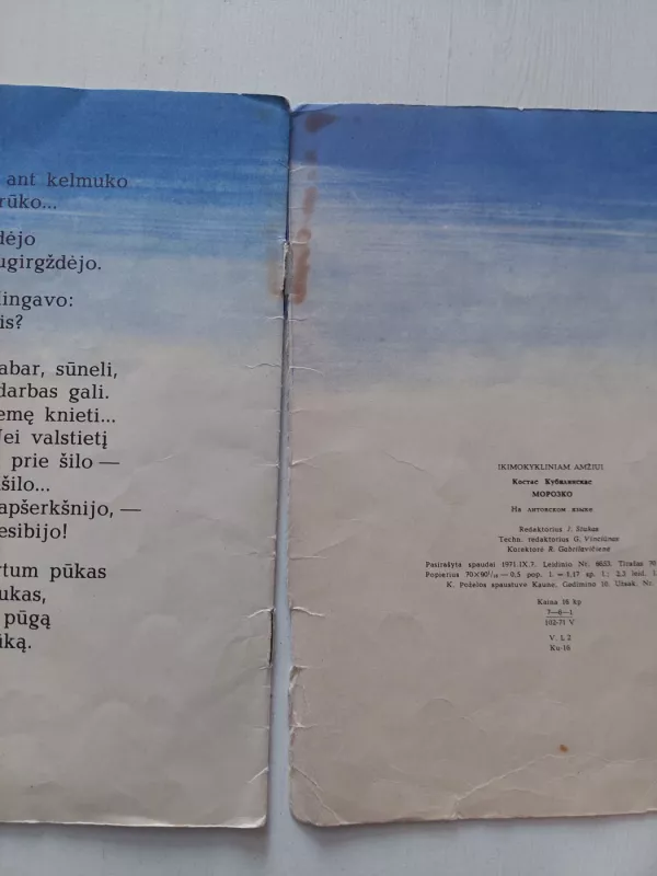 Ledinukas - Kostas Kubilinskas, knyga 4