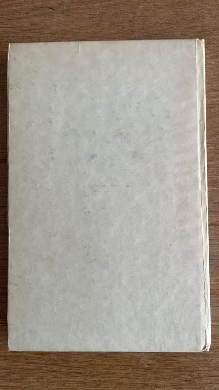 Romantizmo tradicija lietuvių literatūroje - Vytautas Kubilius, knyga 5