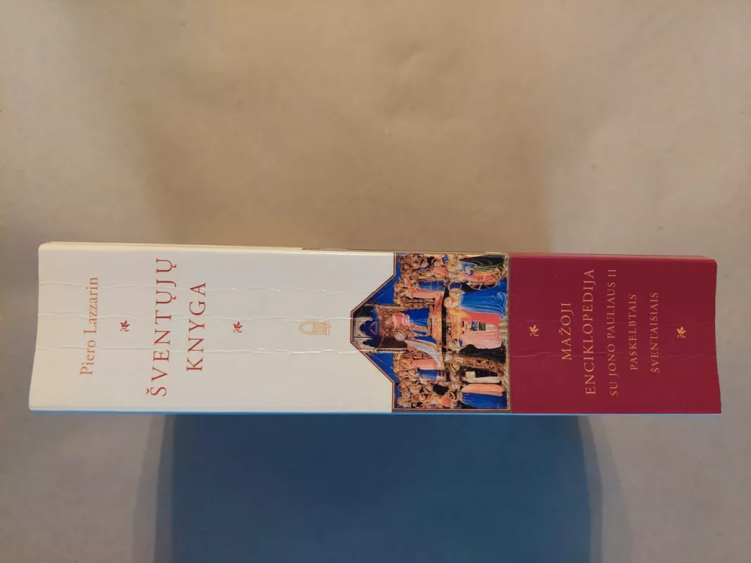 Šventųjų knyga : mažoji enciklopedija su Jono Pauliaus II paskelbtais šventaisiais - Piero Lazzarin, knyga 4