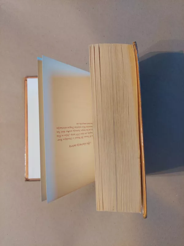 Meilės orakulas - Autorių Kolektyvas, knyga 6