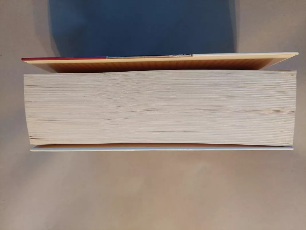 Šventųjų knyga : mažoji enciklopedija su Jono Pauliaus II paskelbtais šventaisiais - Piero Lazzarin, knyga 5