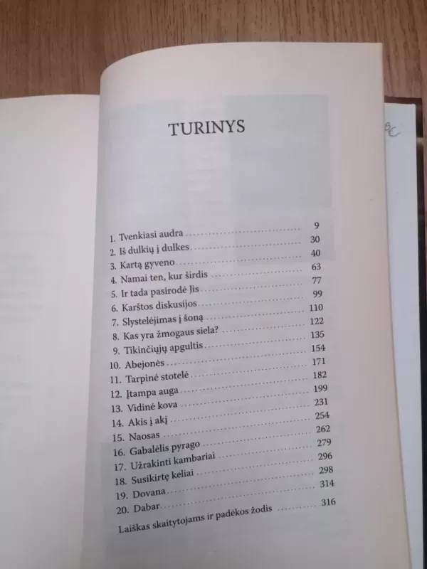 Kryžkelės - Wm.Paul Young, knyga 5