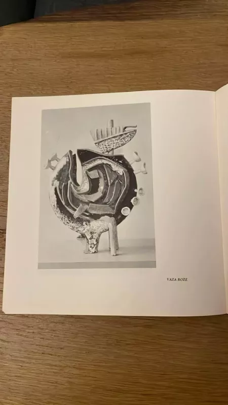 Keramikos dailės paroda - Eleonora Marčiulionienė, knyga 5