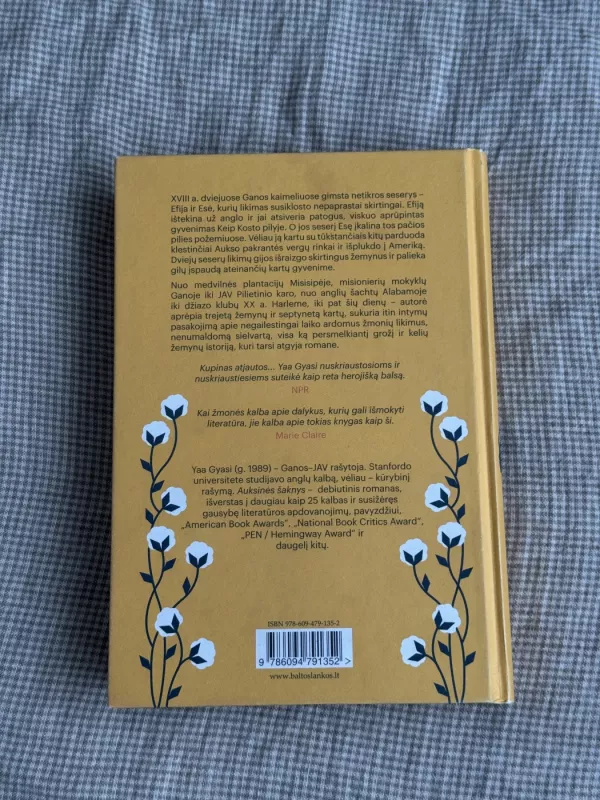 Auksinės šaknys - Yaa Gyasi, knyga 3