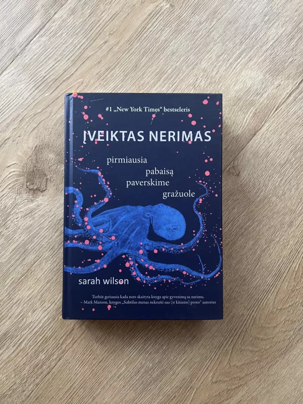 Įveiktas nerimas: pirmiausia pabaisą paverskime gražuole - Sarah Wilson, knyga 2