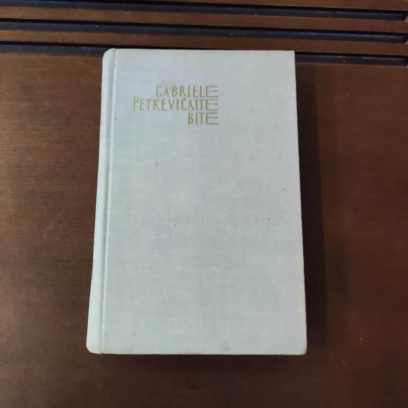 AD ASTRA - Gabrielė Petkevičaitė-Bitė, knyga 2