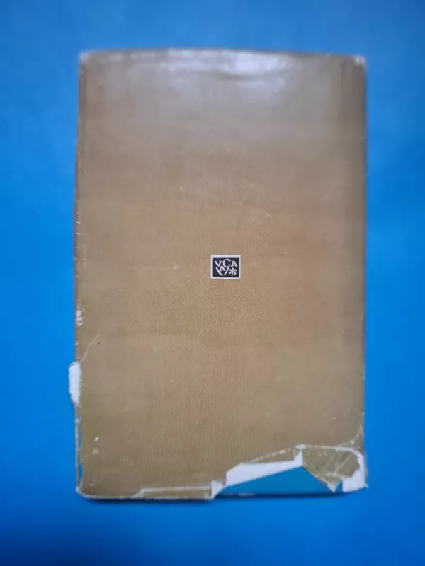 Baltos dėmės - Bitė Vilimaitė, knyga 4