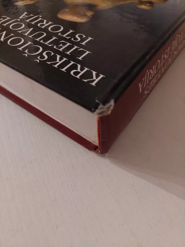 Krikščionybės Lietuvoje istorija - Vytautas Ališauskas, knyga 5