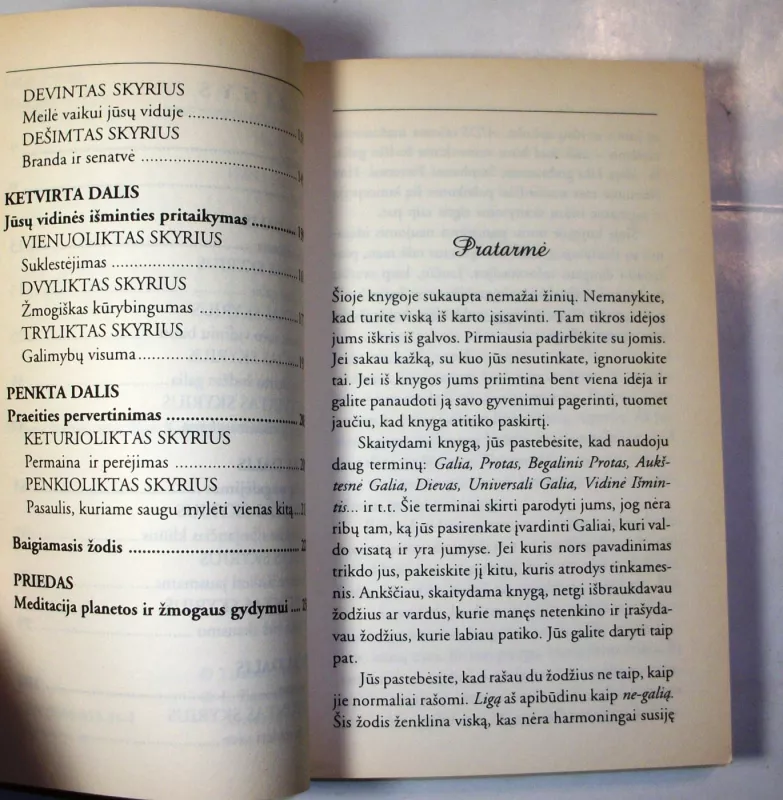 Tavyje glūdinti stiprybė - Louise L. Hay, knyga 6