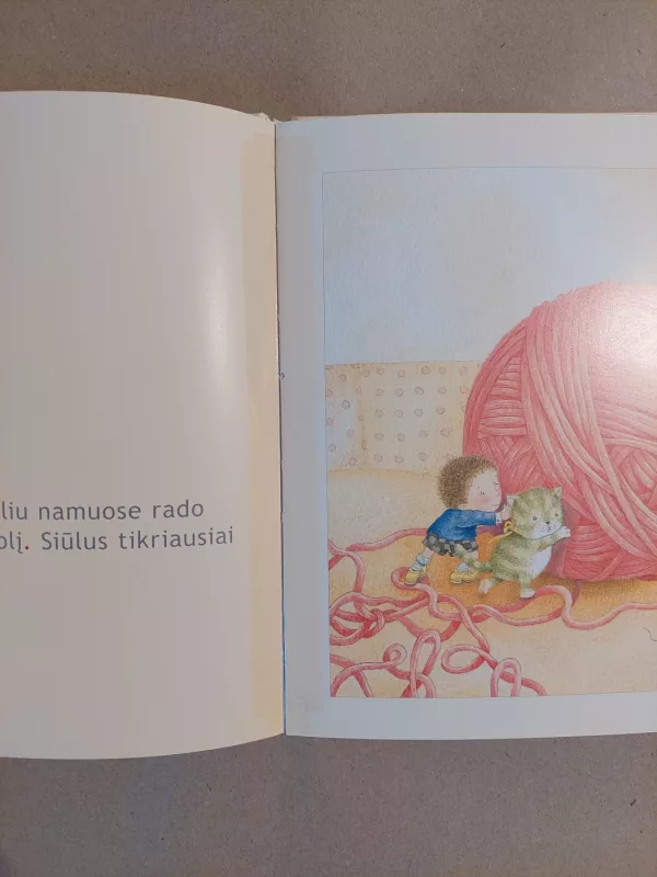 Raudonas kamuolys - Laisvydė Šalčiūtė, knyga 4