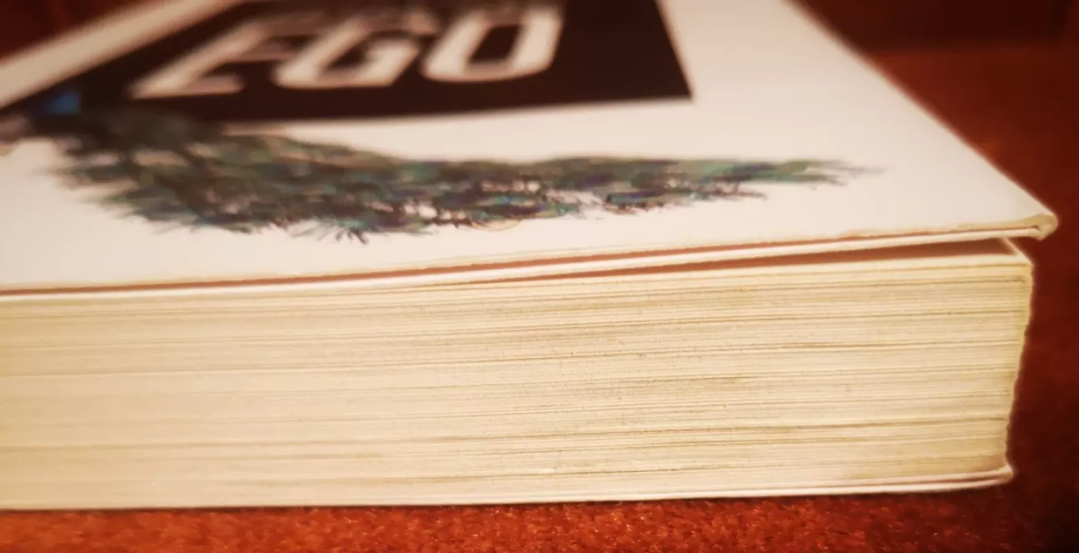 Didysis ego: tikroji asmens svarba ir savivertės kultūra - Glynn Harrison, knyga 3