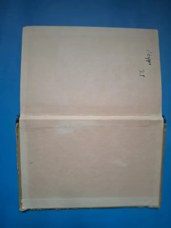 Balantrės šeimininkas - R. L. Stivensonas, knyga 4