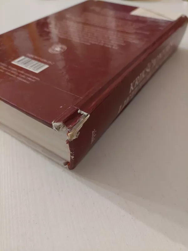 Krikščionybės Lietuvoje istorija - Vytautas Ališauskas, knyga 4