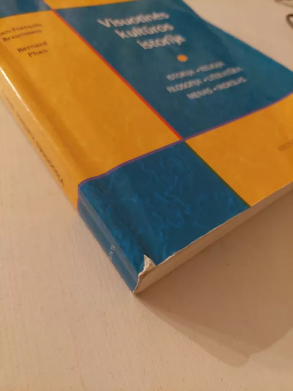 Visuotinės kultūros istorija - Jean-Francois Braunstein, Bernard  Phan, knyga 4