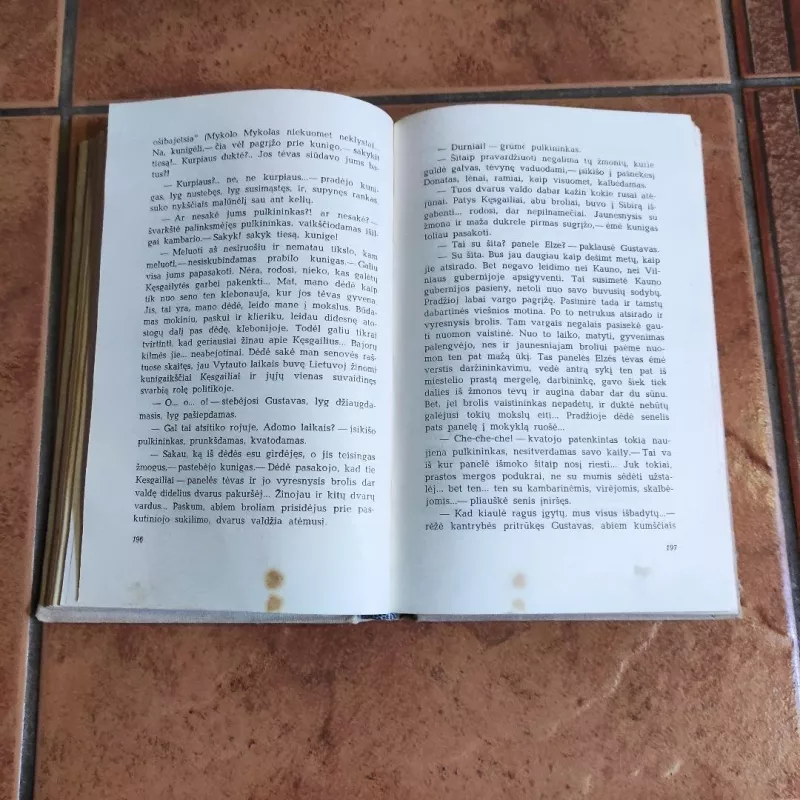 AD ASTRA - Gabrielė Petkevičaitė-Bitė, knyga 5