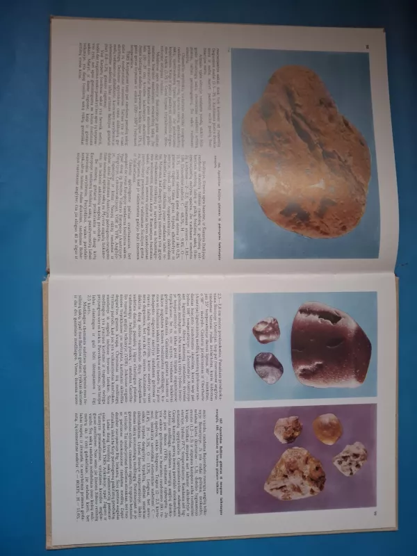 Baltijos gintaras - Vladas Katinas, knyga 4