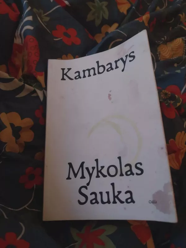 Kambarys - Mykolas Sauka, knyga 2