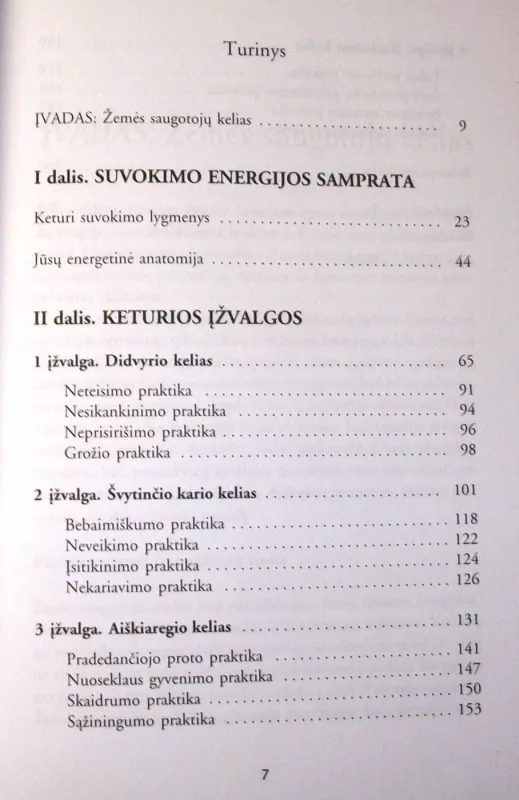 Keturios Įžvalgos. Žemės Saugotojų Išmintis Galia ir Malonė - Alberto Villoldo, knyga 5