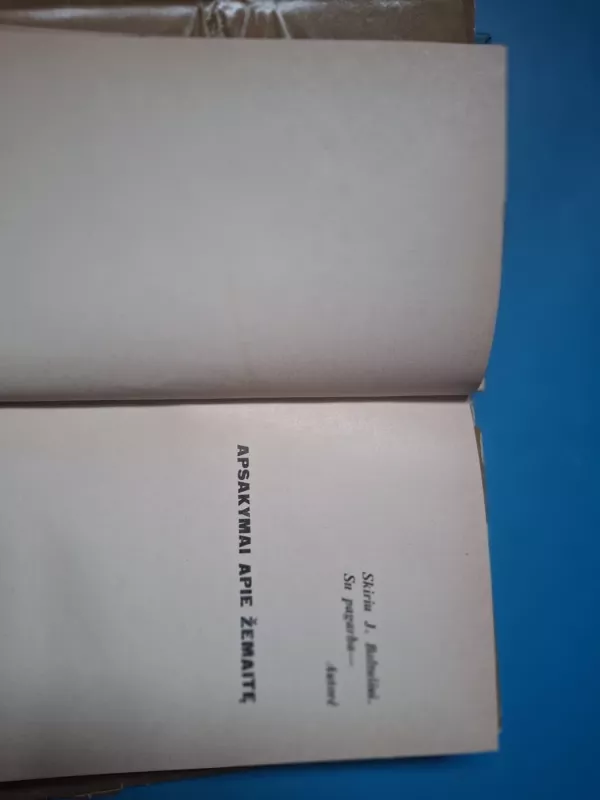 Baltos dėmės - Bitė Vilimaitė, knyga 3