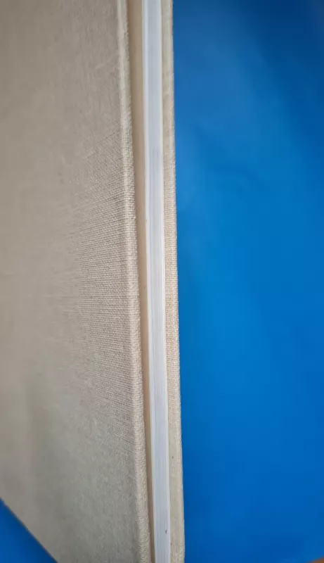 Baltijos gintaras - Vladas Katinas, knyga 6