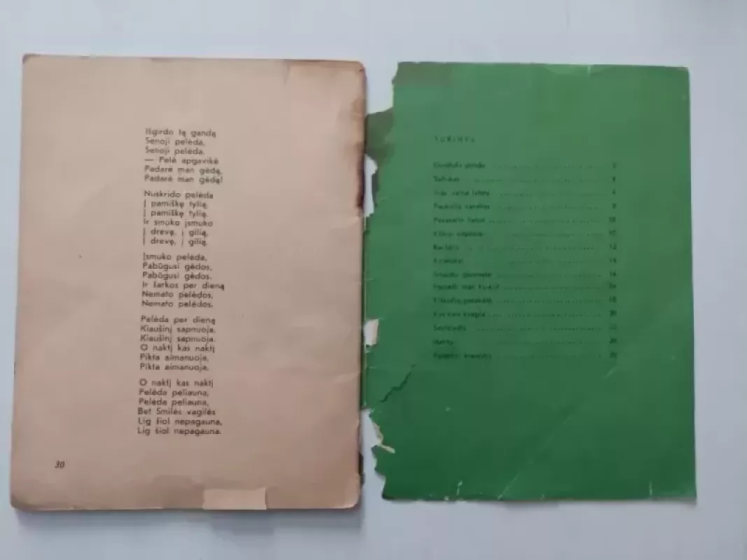 Dundulis dunda - Martynas Vainilaitis, knyga 5