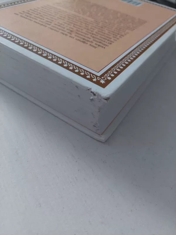 Viskas apie etiketą - Amy Vanderbilt, knyga 4