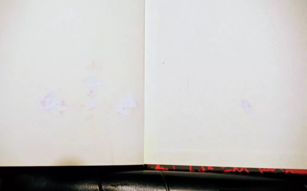 Monster High. Dienoraštis. Drakulaura ir nauja pamotė - Nessi Monstrata, knyga 4