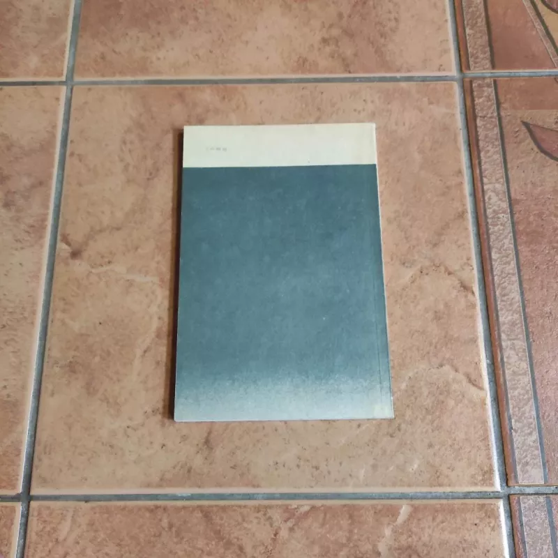 Žmogus-dėžė - Kobas Abė, knyga 3