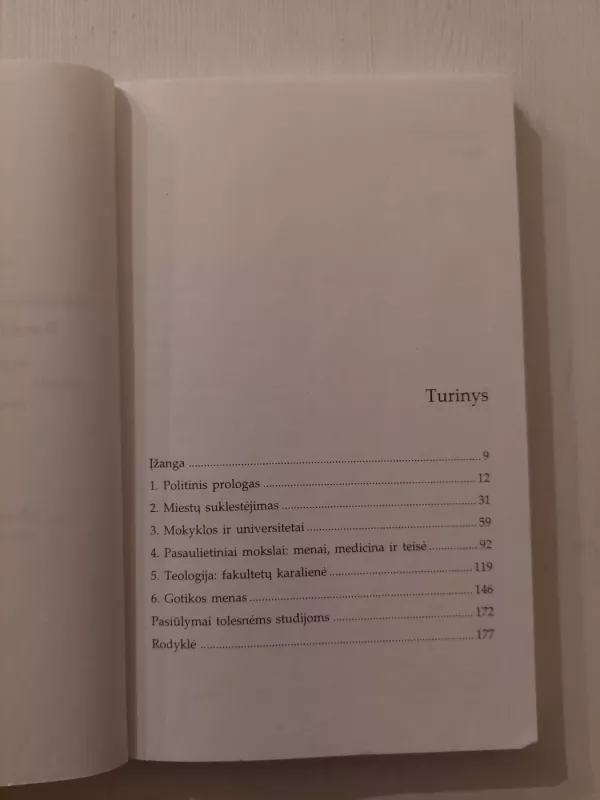 Viduramžių kultūra 1000-1300 - John W. Baldwin, knyga 3