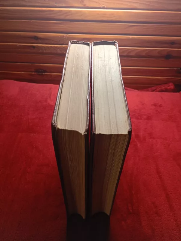 Išmoningasis Idalgas Don Kichotas iš La Mančios (2 tomai) - Migelis Servantesas, knyga 3