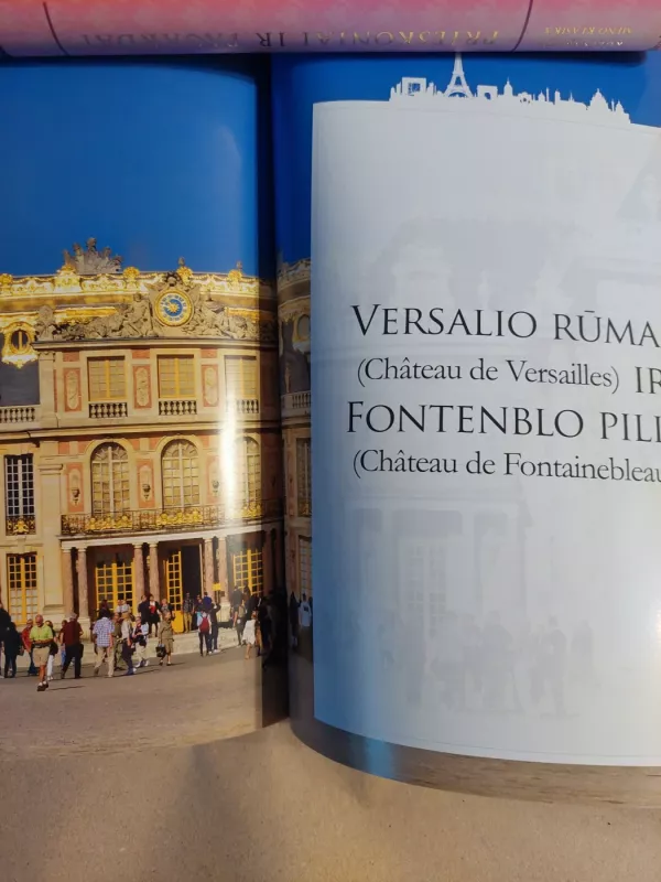 SAVAS PARYŽIUS - Goda Klimavičiūtė, knyga 4