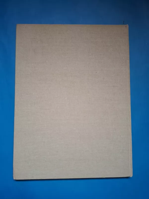 Baltijos gintaras - Vladas Katinas, knyga 5