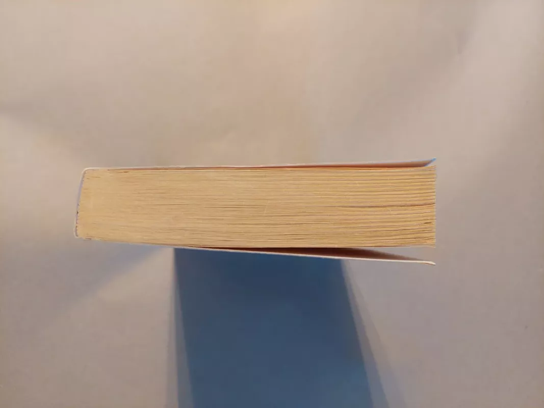 Zahiras - Paulo Coelho, knyga 5