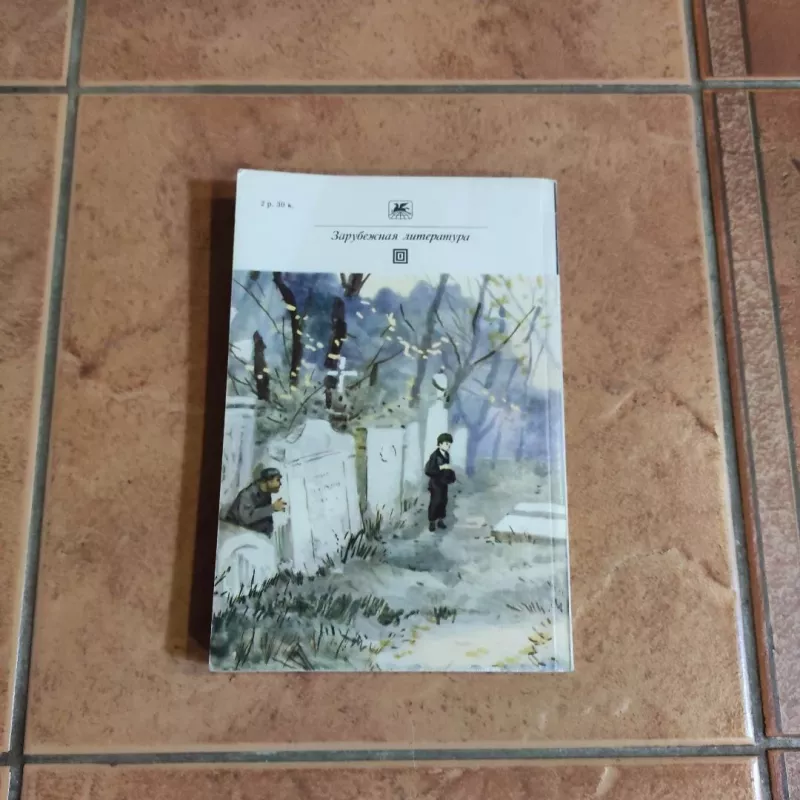 Bolshyje nadezhdy - Charles Dikens, Charles Dickens, knyga 3