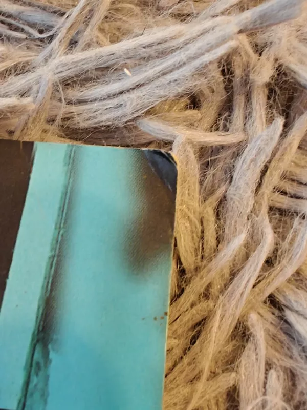 Senų žmonių baimės - H. Blonski, ir kiti , knyga 4