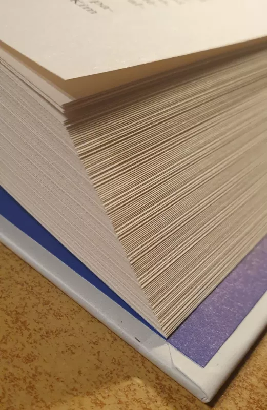 Nediplomatiški britų diplomato memuarai - Kevin J. Lynch, knyga 4