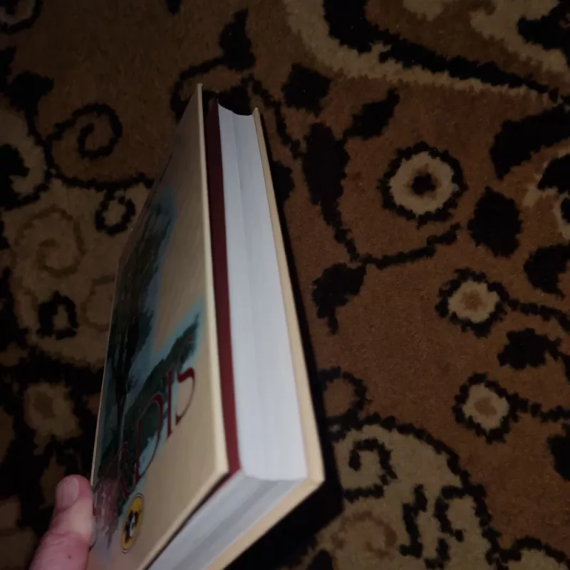 Širdis - Edmondo  de Amicis, knyga 3