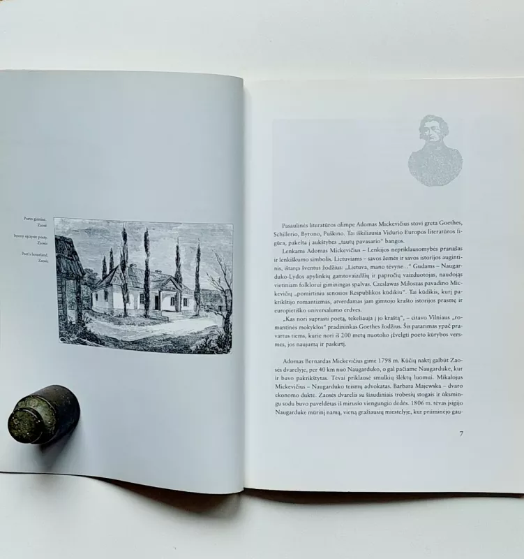 Adomas Mickevičius. Poetas ir Lietuva/ Adam Mickiewicz. Poeta i Litwa/ Adam Mickiewicz. Poet and Lithuania - Vytautas Kubilius, knyga 5