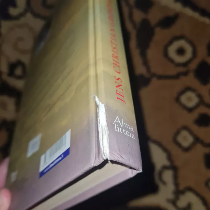 Spalio tylėjimas - Jens Christian Grondahl, knyga 3