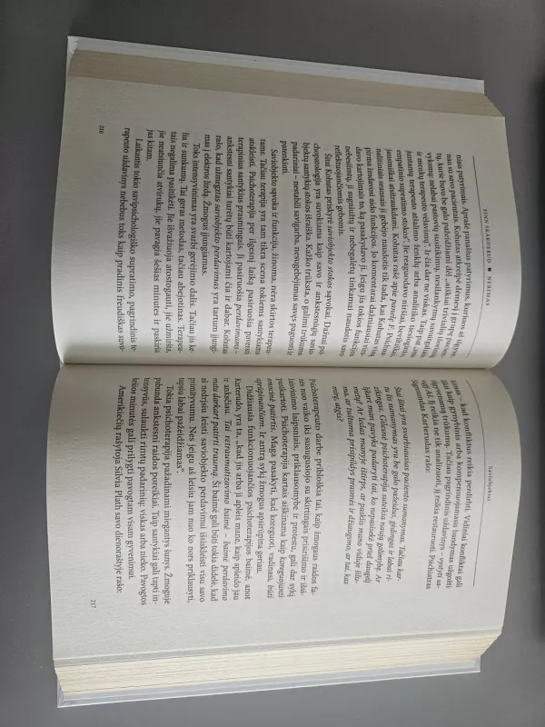 Nerimas. Klajonės po modernųjį Aš - Skårderud Finn, knyga 2