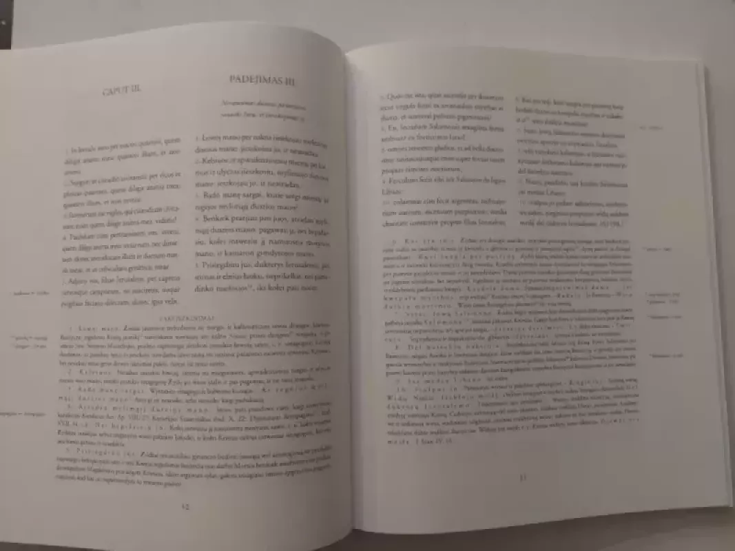 Giesmių giesmė - Antanas Baranauskas, knyga 6