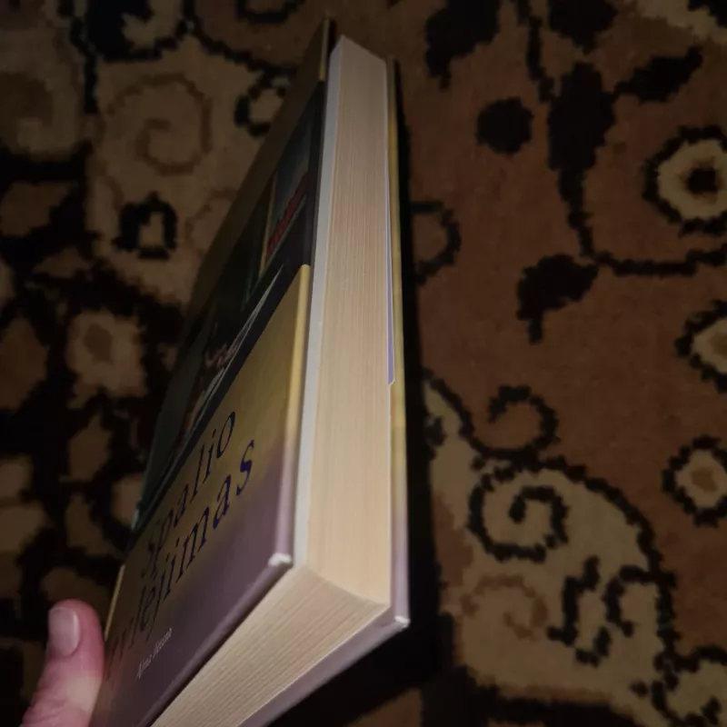 Spalio tylėjimas - Jens Christian Grondahl, knyga 4