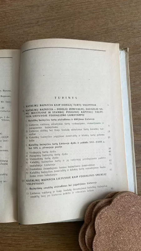 Ekonominė ir teisinė katalikų bažnyčios padėtis Lietuvoje (XV-XIX a.) - P. Pakarklis, knyga 4