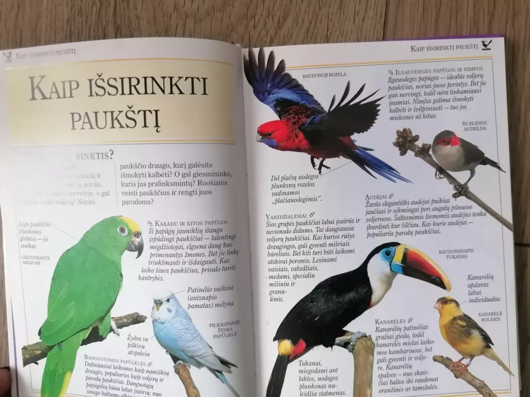 101 naudingi patarimai. Paukštelių priežiūra - David Alderton, knyga 6