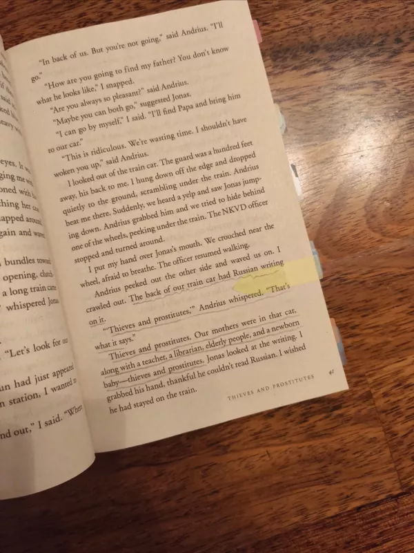 Between Shades of Gray - Šepetys Ruta, knyga 3