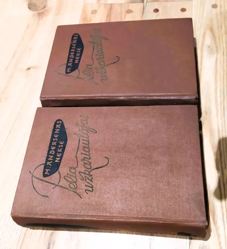 Pelia užkariautojas (2 tomai) - Martinas Andersenas Neksė, knyga 2